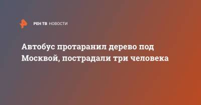 Автобус протаранил дерево под Москвой, пострадали три человека - ren.tv - Москва - Домодедово