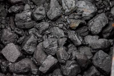 Индонезия может отказаться от угля к 2040 году и мира