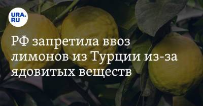 РФ запретила ввоз лимонов из Турции из-за ядовитых веществ