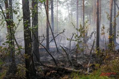 В Хабаровском крае выросло число пожаров