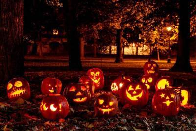 Хэллоуин — жуткое торжество или веселый праздник?