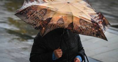 Москвичам пообещали аномальное тепло с дождями