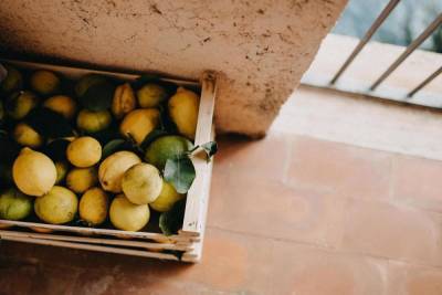 Роспотребнадзор запретил ввозить в Россию лимоны турецкого производителя