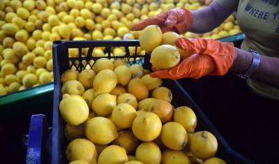 Роспотребнадзор запретил ввоз турецких лимонов