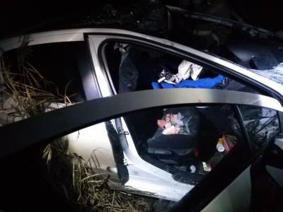 На М9 в Тверской области из-за выбежавшего на дорогу лося водитель легковушки получил перелом позвоночника