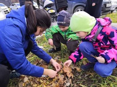 Семейную кедровую аллею высадили у детской поликлиники Южно-Сахалинска