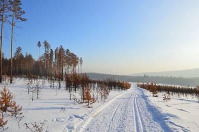 Эксперт предсказала нестабильную зиму в России по природным приметам