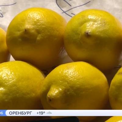 Роспотребнадзор приостановил импорт лимонов из Турции