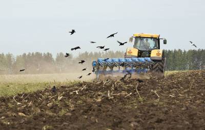 Нужна ли экономика в сельском хозяйстве. Или достаточно гудеть и шуметь?