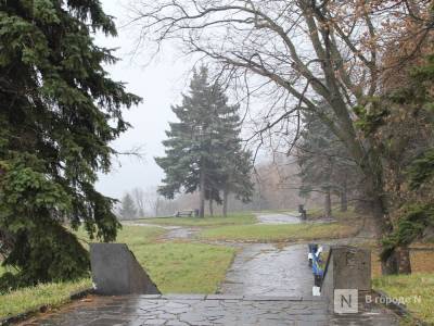 Праздничные дни в Нижегородской области будут теплыми, но дождливыми - vgoroden.ru - Нижегородская обл.