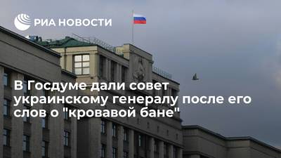 Депутат Госдумы Белик посоветовал экс-замглавы ВСУ Романенко брать пример с американцев