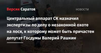 Центральный аппарат СК назначил экспертизы по делу о незаконной охоте на лося, к которому может быть причастен депутат Госдумы Валерий Рашкин