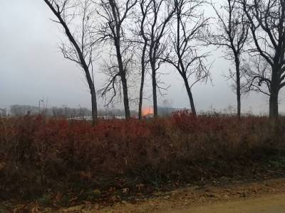 В Ростовской области загорелось сено на площади 500 квадратных метров