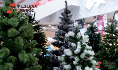 Где в Красноярске установят новогодние елки