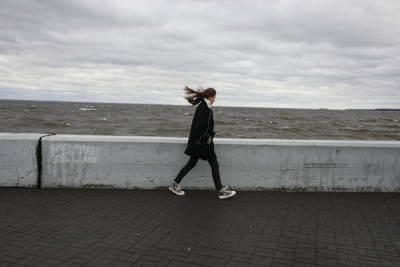 МЧС предупредило петербуржцев об усилении ветра