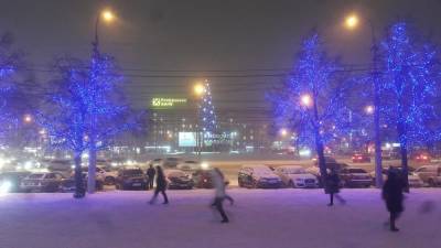 В Новосибирске определён поставщик новогодних гирлянд за 3,5 млн рублей для украшения улиц