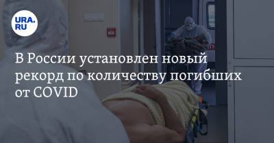 В России установлен новый рекорд по количеству погибших от COVID