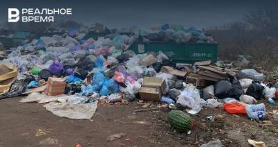 В татарстанском селе Большие Кабаны образовалась свалка бытовых отходов