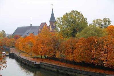 Калининград вошел в топ-10 популярных для туристов городов в октябре