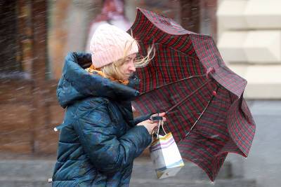 Желтый уровень погодной опасности ввели в Москве из-за ветра