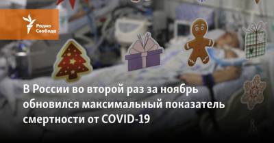 В России во второй раз за ноябрь обновился максимальный показатель смертности от COVID-19