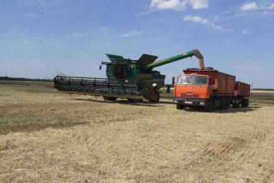 Урожай зерна с тамбовских полей приближается к 4 миллионам тонн