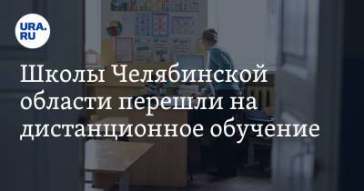 Школы Челябинской области перешли на дистанционное обучение