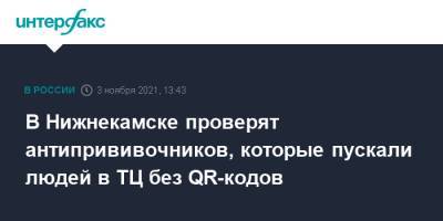 В Нижнекамске проверят антипрививочников, которые пускали людей в ТЦ без QR-кодов - interfax.ru - Москва - Россия - респ. Татарстан - Нижнекамск