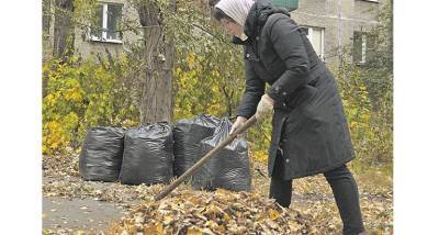 Как липчанам добиться уборки листвы и мусора