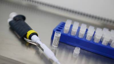 Белоруссия подготовила прототипный вариант собственной вакцины от COVID-19