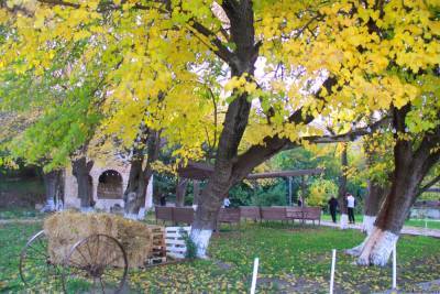 Желтая осень в Шахбулаге! Красота с чистейшим родником и кристальным воздухом (ВИДЕО, ФОТО)