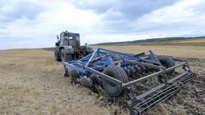 Правительство России на полгода вводит ограничение на вывоз азотных удобрений