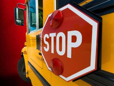 В Канаде выпавшие из грузовика бревна попали в школьный автобус с детьми