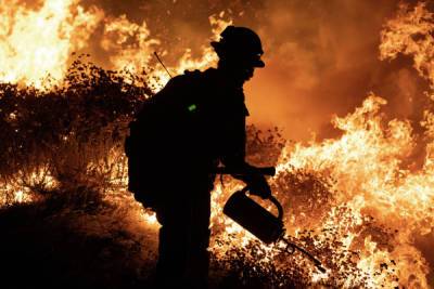 В Кремле напомнили Джо Байдену о пожарах в Калифорнии в ответ на слова о горящей тундре