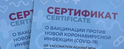 На сибирячку завели второе за три месяца дело о подделке сертификатов вакцинации