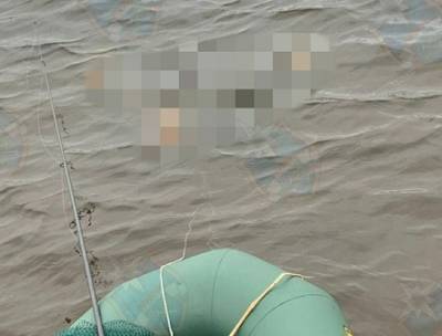 Из Ладожского озера достали тело мужчины — фото