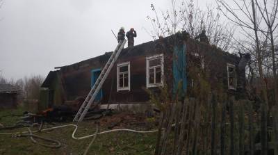 Мужчина погиб при пожаре под Новогрудком