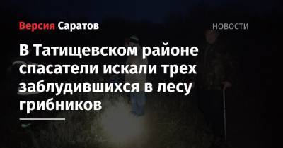 В Татищевском районе спасатели искали трех заблудившихся в лесу грибников