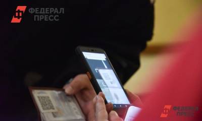 В Общественной палате выступили за создание COVID-free зон в России