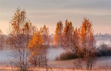 До +15°С ожидается в Беларуси 4 ноября