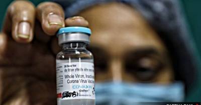 ВОЗ одобрил индийскую вакцину от коронавируса Covaxin