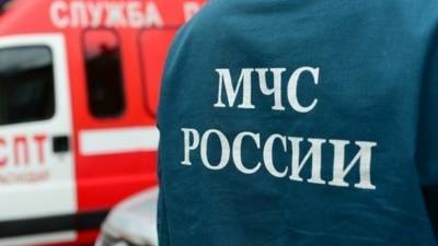 Жительницу Ростовской области наградили медалью МЧС за спасение женщины при пожаре