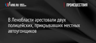 В Ленобласти арестовали двух полицейских, прикрывавших местных автоугонщиков