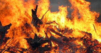 Правительство предлагает предоставить пожарным право штрафовать украинцев за сжигание травы