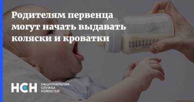 Антонина Цицулина - Родителям первенца могут начать выдавать коляски и кроватки - nsn.fm - Россия