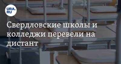 Свердловские школы и колледжи перевели на дистант