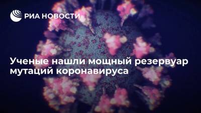 Ученые предупредили о мощном резервуаре мутаций коронавируса