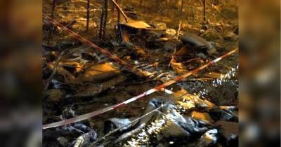 Катастрофа Ан-12 під Іркутськом: у МЗС підтвердили, що на борту були двоє українців