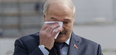 В Литве боятся, что Лукашенко снимут по российскому сценарию