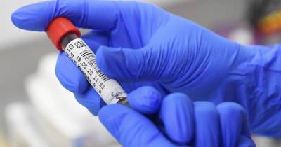 В Москве ученые разработали тест на фальшивые сертификаты о вакцинации